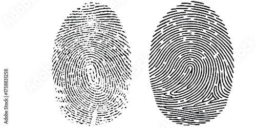 Group of Finger Print on white Paper. Black and White