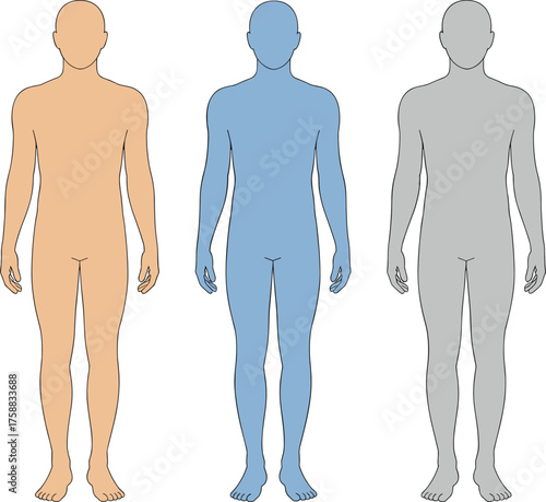 Human silhouette comparison set, colored body outline illustration, medical or scientific concept clipart, classification vector, isolated white background