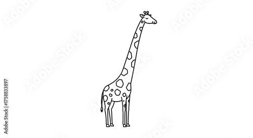 Minimalistic giraffe line drawing on white background for design elements