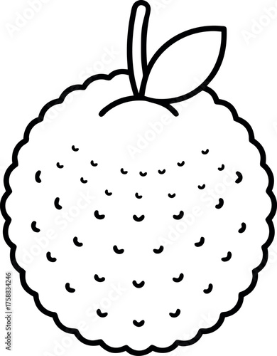 Black and White Lychee Fruit Outline with Leaf for Tropical Botanical Illustration