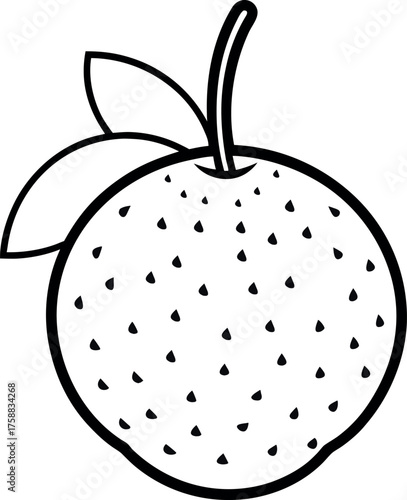Black and White Lychee Outline Drawing with Leaf for Tropical Fruit Illustration