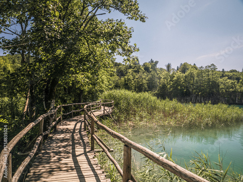 Winding wooden boardwalk follows a turquoise lake bordered by reeds and trees under a bright blue sky in Plitvice Lakes National Park.