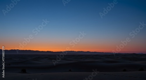 Wallpaper Mural The deep, velvety blue of the pre-dawn desert sky. Torontodigital.ca