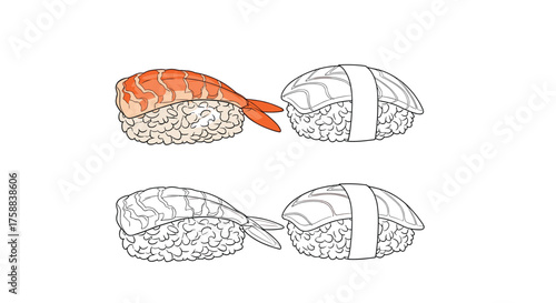 Two pieces of nigiri sushi with shrimp and white fish.
