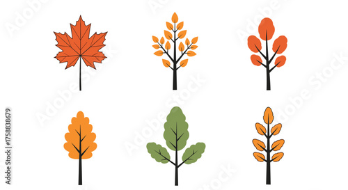 A collection of six distinct autumnal leaf illustrations.