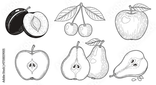 A selection of fresh fruit including plums apples and pears.