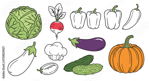 A collection of various fresh vegetables and produce in a drawing.