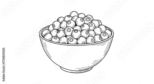 A generous bowl overflowing with plump ripe blueberries.