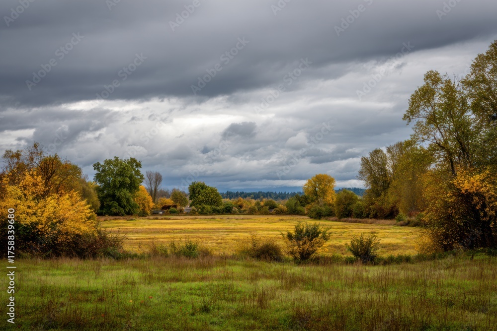 Fototapeta premium Overcast Skies Before Rainy Weather