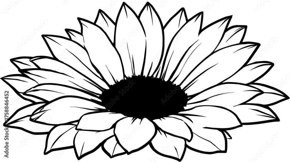 Fototapeta premium Detailed black and white line art illustration of a blooming flower, elegant floral vector sketch, botanical drawing for design