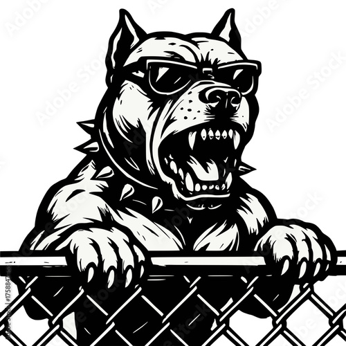 Muscular Pit Bull Growling with Sunglasses and Spiked Collar in Black and White Line Art