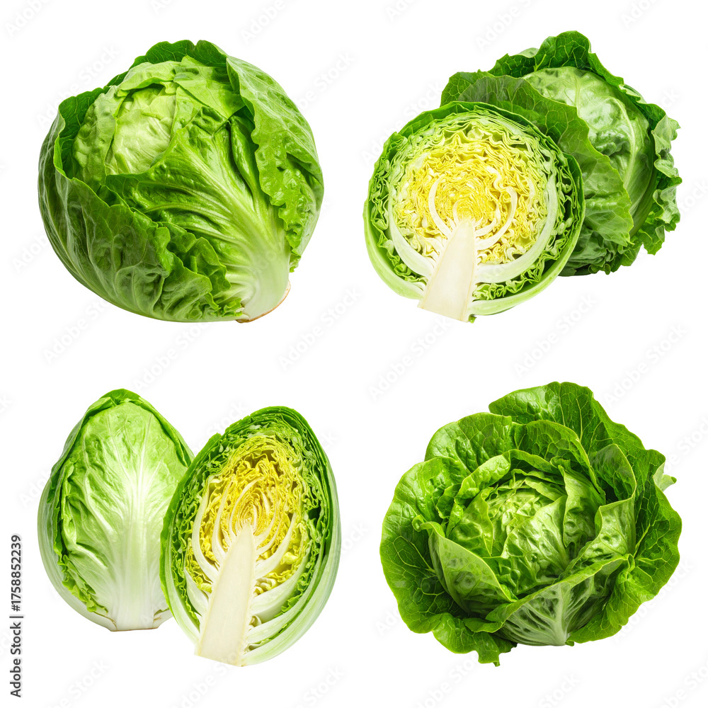 Fototapeta premium A collection of fresh green lettuce heads, shown whole and sliced in half, isolated on a clean white background.