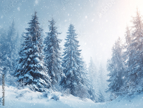 Wallpaper Mural Peaceful Winter Forest Landscape with Snow-Covered Pine Trees Torontodigital.ca