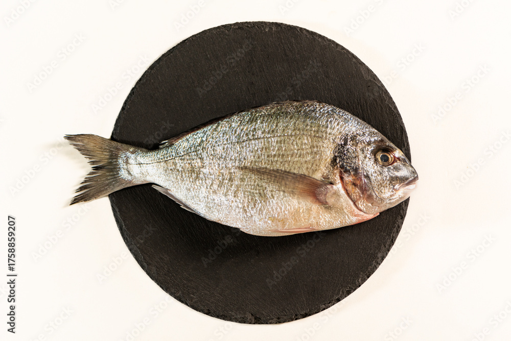 Fototapeta premium Fresh gilt-head bream served on a black stone dish isolated on white