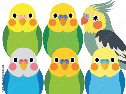 Cute cartoon budgies and cockatiel group illustration