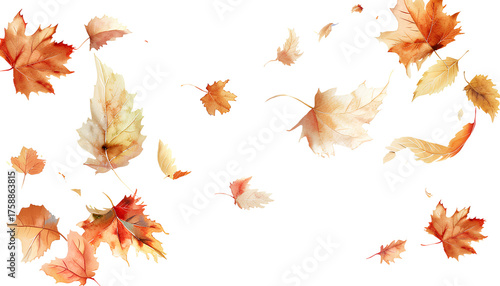  hand-drawn cartoon-style image of maple leaves falling in the air, with a transparent background
