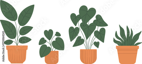 Terracotta potted plants, leaf shape variety, botanical illustration, indoor greenery, cozy home decor, nature art, foliage design, plant study