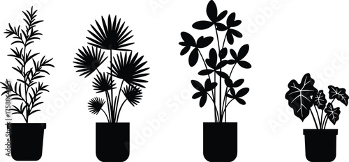 Black plant silhouettes, potted foliage icons, leaf shape variety, minimalist botanical art, indoor decor, nature illustration, modern plant design