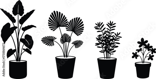 Potted plant illustration, leaf variety, botanical decor, indoor greenery, minimalist houseplants, nature art, cozy home vibe, foliage design