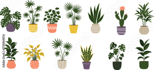 Potted plant collection, tropical and succulent, decorative pots, botanical illustration, indoor greenery, cozy home decor, nature art, vibrant foliage