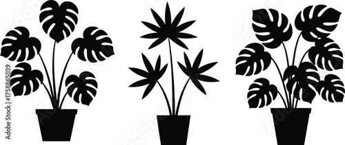 Black plant silhouettes, Monstera and palm, potted foliage icons, minimalist botanical shapes, indoor leaf design, modern nature illustration, decor art