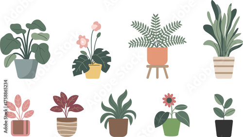 Indoor potted plants, botanical illustration, houseplant collection, decorative foliage, cozy home decor, plant art, nature drawing, green leaves, flower pots