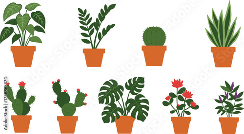 Terracotta potted plants collection, flowering cactus, Monstera, foliage variety, botanical houseplants, indoor garden icons, vector plant illustration set