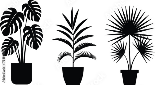 Black silhouette potted plants, Monstera, palm, dracaena, indoor foliage icons, botanical vector set, minimalist houseplant decor, tropical leaf illustration