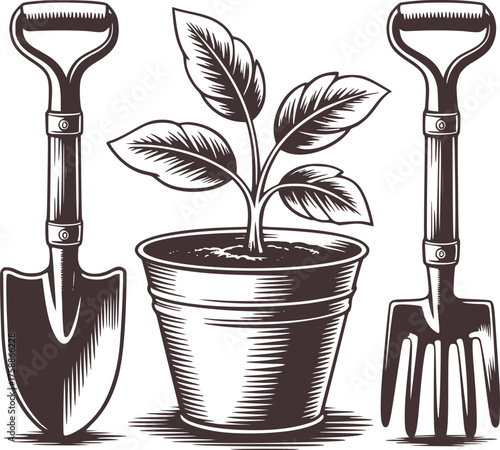Plant seedling in pot with shovel and trowel gardening