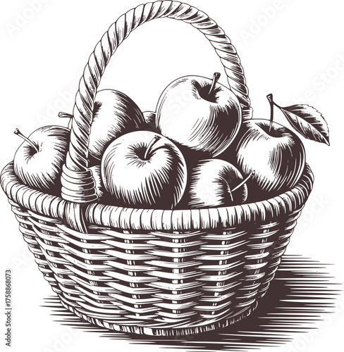 Woven basket overflowing with ripe apples fruit harvest