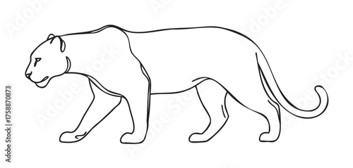 Black outline drawing of a walking panther in profile view, highlighting its muscular build and distinctive features.