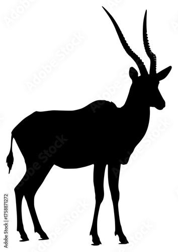 a black silhouette of a antelope on a transparent background, antelope, black, picture, silhouette, stand 