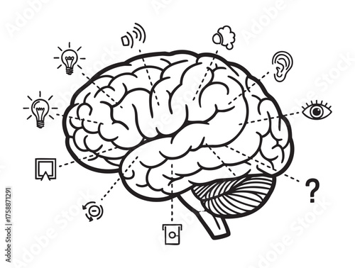Black outline drawing of a human brain with connected icons symbolizing thoughts, ideas, and senses, including a light bulb, ear, eye, and question mark.