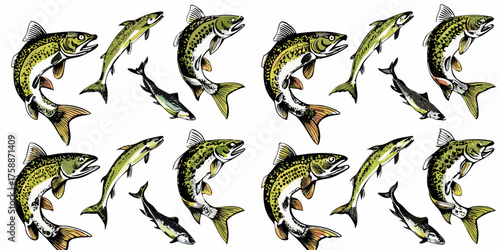 Collection of colorful hand drawn trout and salmon fish illustrations on a white background