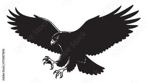 Black silhouette of a hawk with outstretched wings and sharp talons, facing forward as it appears to be swooping down.
