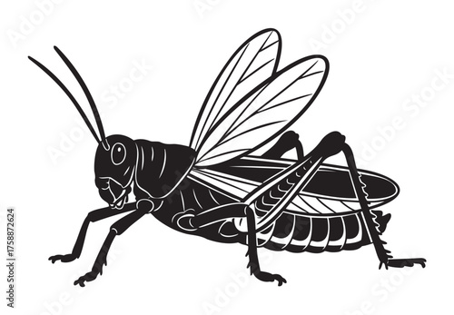 Black silhouette of a detailed grasshopper with extended wings and prominent antennae. insect is depicted in side view with precise lines and textures.
