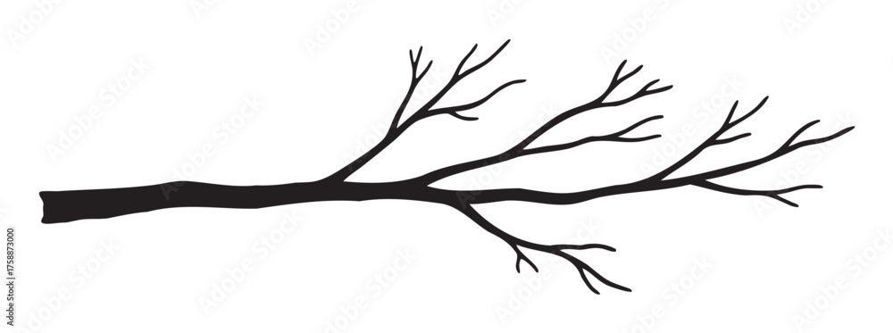 Fototapeta premium Black silhouette of a leafless tree branch with multiple intricate twigs extending outward.