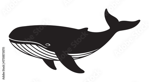 Silhouette of a humpback whale with distinctive flippers, a curved tail, and white accents on its underbelly.