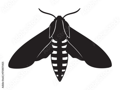 Black silhouette of a hawk moth with detailed wing patterns and a striped abdomen, viewed from above.