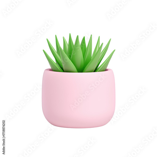 Potted Succulent Plant in Pink Ceramic Container with Green Leaves