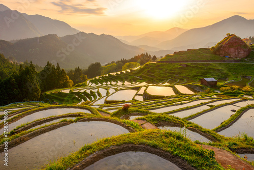Schilderij op canvas Japanese Rice Terraces in Kumano, Japan at Dusk 226