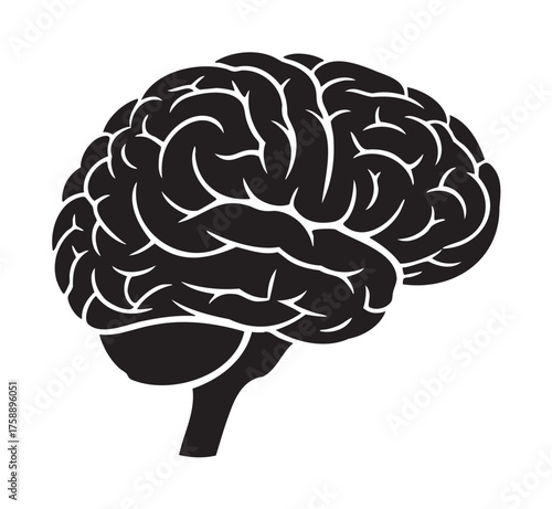 Black silhouette of a human brain with detailed surface patterns.