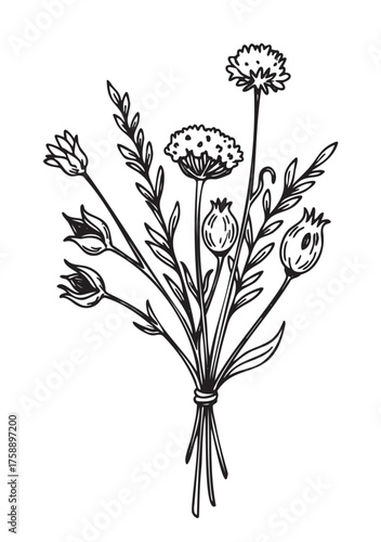 Black outline drawing of a small bouquet of wildflowers, including cornflowers and poppy seed heads, tied together.