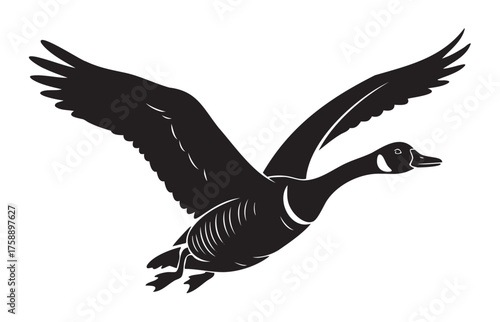 Silhouette of a canadian goose in mid-flight with wings fully extended and neck outstretched.