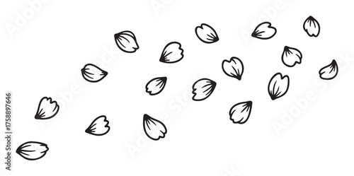 Black outline illustration of scattered flower petals in various orientations.