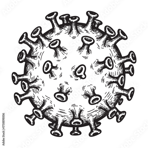 Detailed hand-drawn black and white illustration of a coronavirus particle, showing spike proteins and textured surface, representing viral structure.