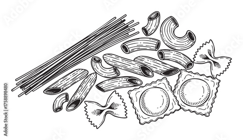 Black outline drawing of various pasta types including spaghetti, penne, macaroni, farfalle, and ravioli, showcasing diverse shapes and styles.