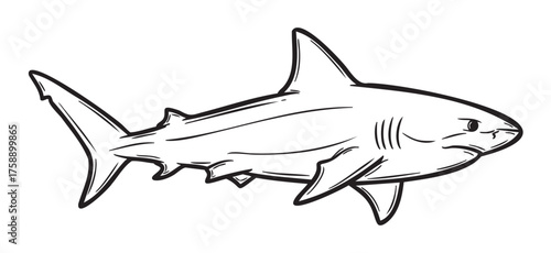 Black outline drawing of a great white shark, showcasing detailed features of fins, gills, and streamlined body shape.
