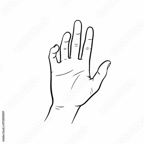 Close-up illustration of a human hand with fingers extended upwards, symbolizing communication or a gesture of greeting.