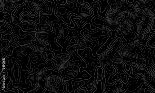 black and white seamless pattern. "Ultra-Wide Vector Map Illustration Depicting Conditional Geography, 